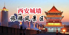 大鸡巴插入免费视频中国陕西-西安城墙旅游风景区