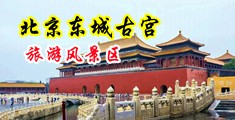 玩弄女人大骚逼的视频中国北京-东城古宫旅游风景区